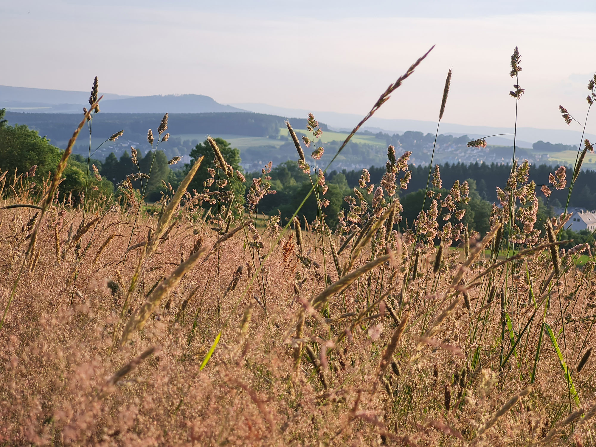 Pöhlberg Annaberg-Buchholz Natur erleben und genießen